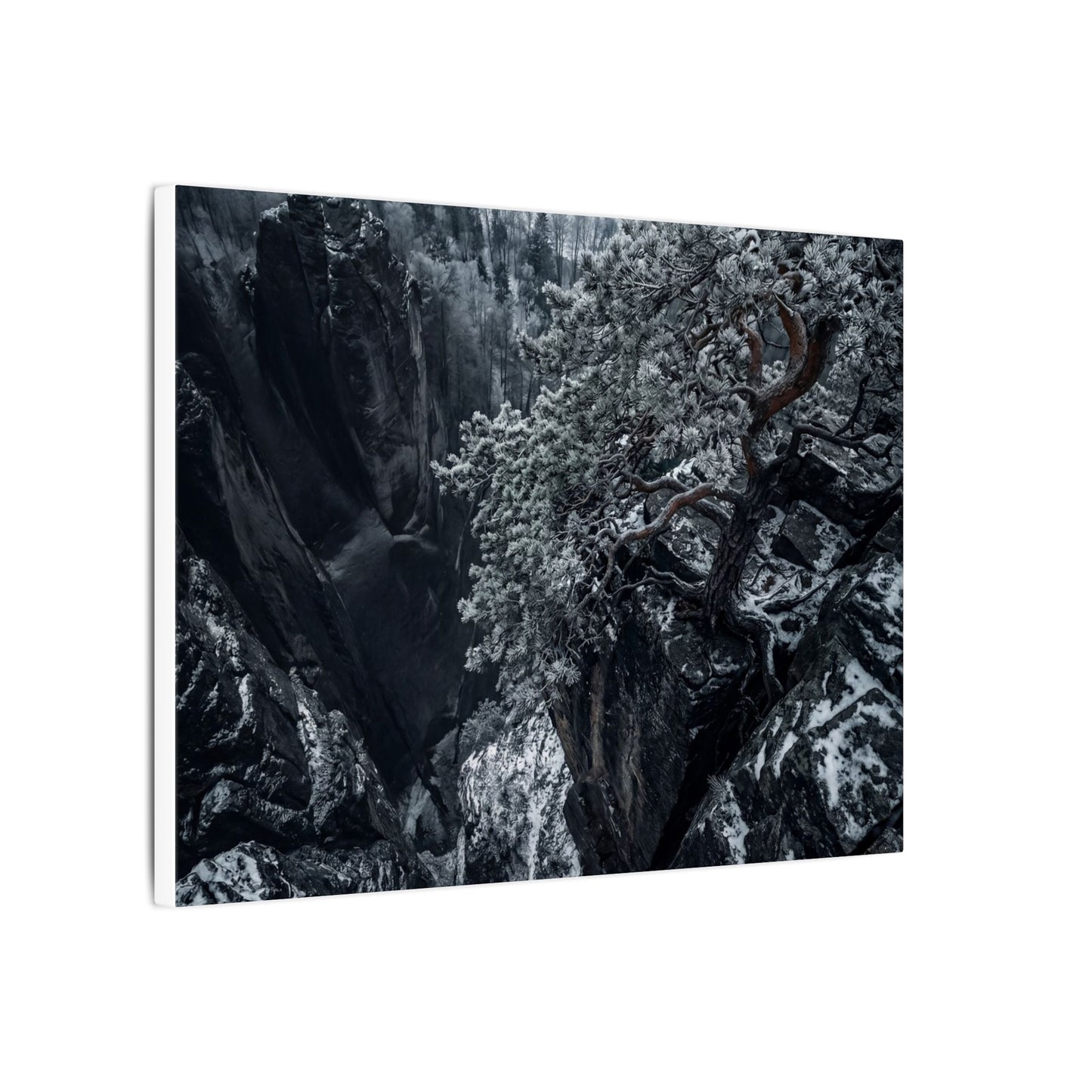 Dark Japandi Pine Tree in Dappled | Dark Texture Canvas Art
