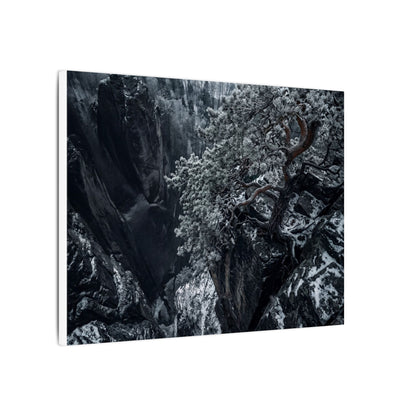 Dark Japandi Pine Tree in Dappled | Dark Texture Canvas Art