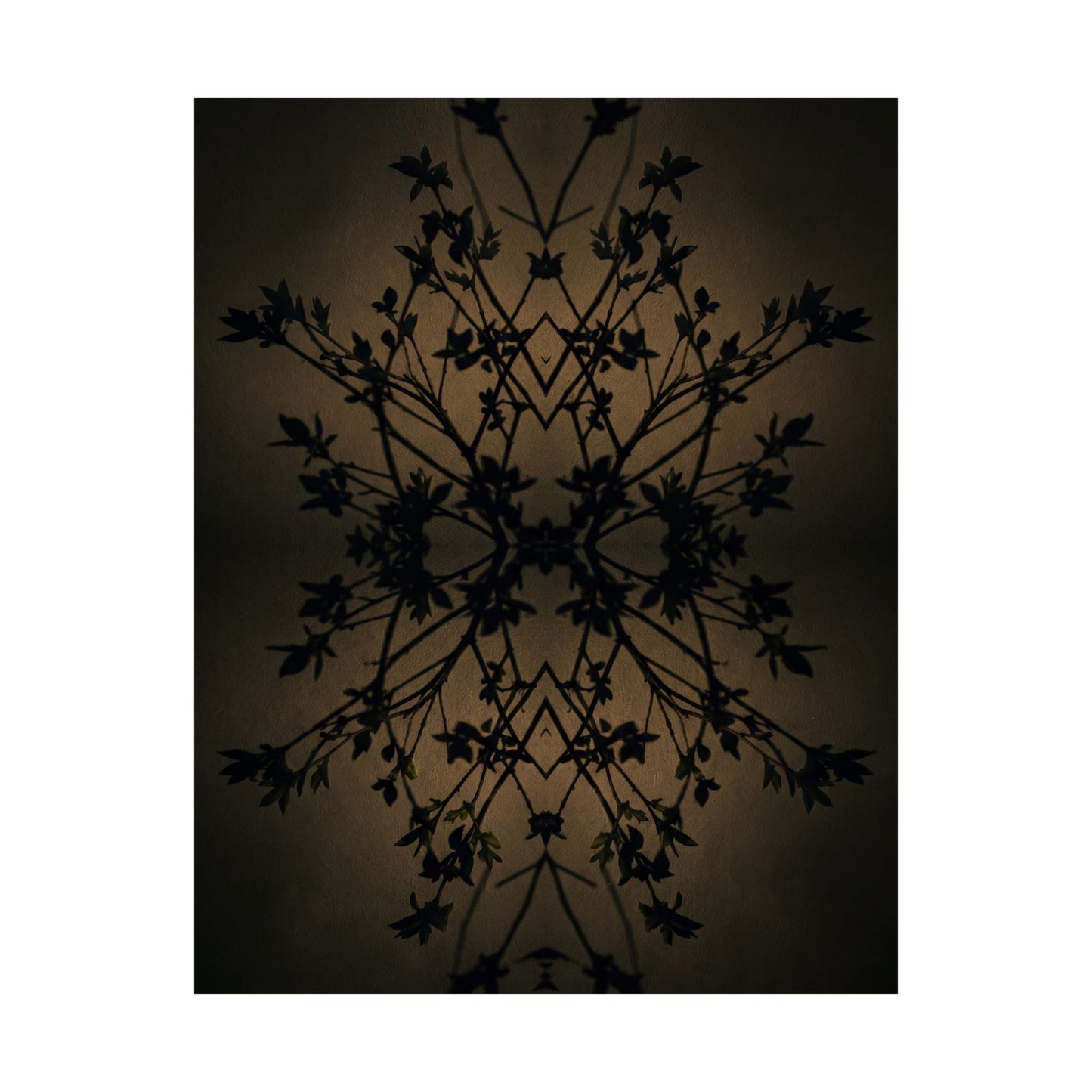 Shadow Play Wall Art Print | Spring Dark Japandi Shadow Zen Art