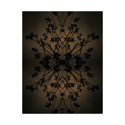 Shadow Play Wall Art Print | Spring Dark Japandi Shadow Zen Art