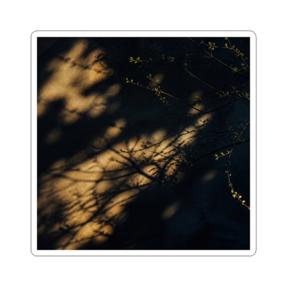 Spring Shadow Play Moody Minimal Sticker | Luxurious Decor