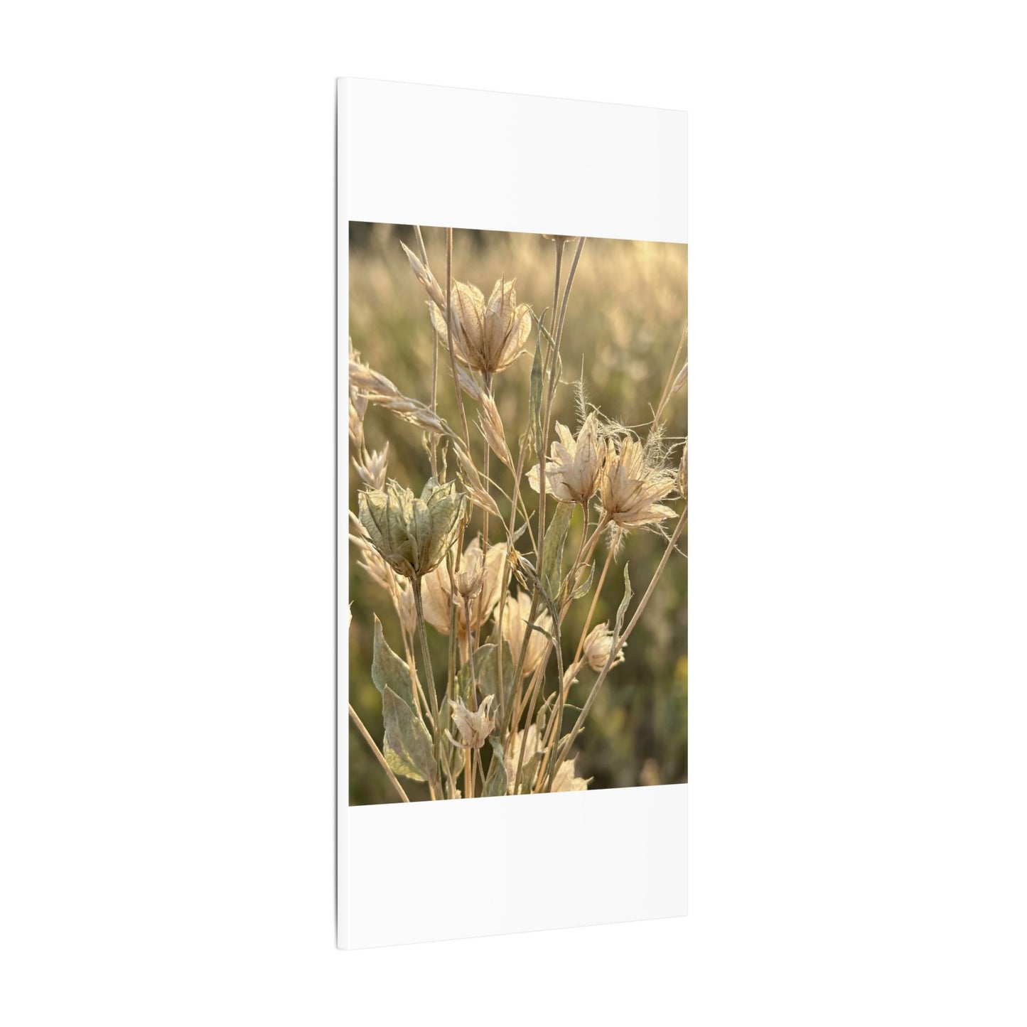 Summer Dried Flowers Minimal Line Canvas Art | Cozy Decor