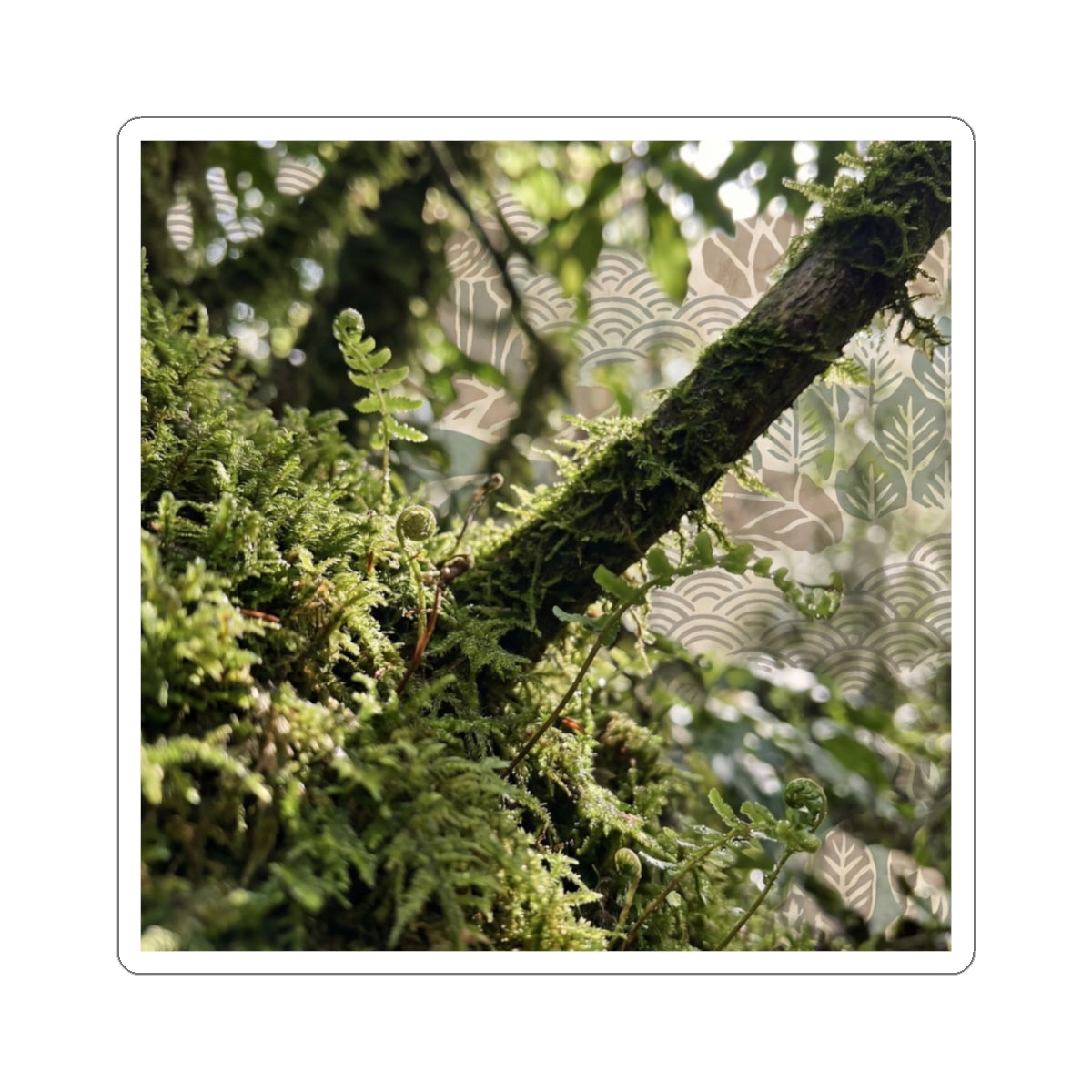 Moss Close Up Spring Sticker | Japandi Earthy Design Art Print