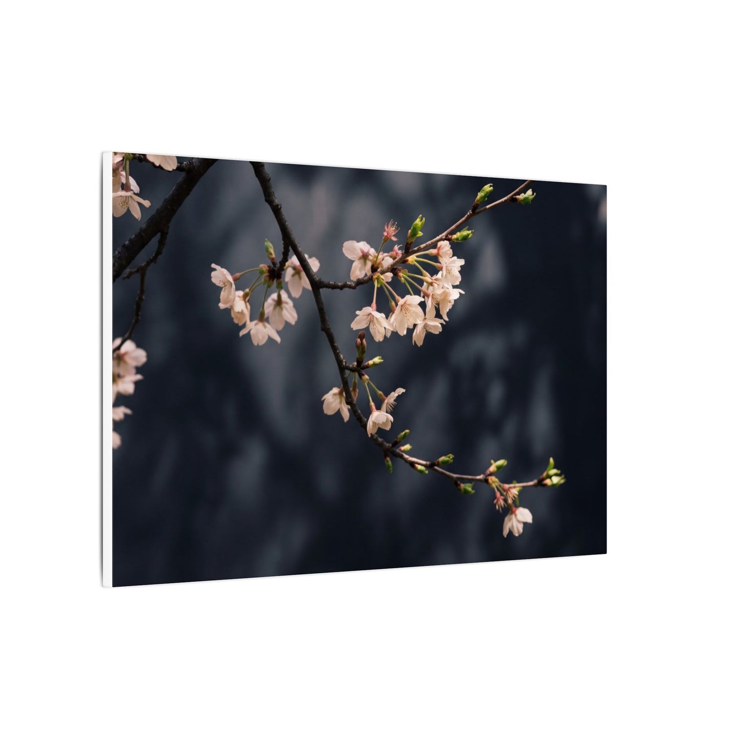 Cherry Blossom Moody Minimal Canvas Art | Bold Dark Japandi Art