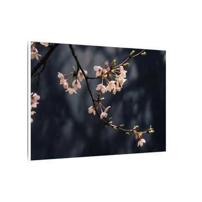 Cherry Blossom Moody Minimal Canvas Art | Bold Dark Japandi Art