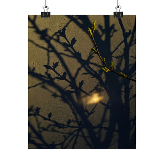 Datsuzoku Shadow Play Wall Art Print - Dark Japandi Moody Minimal Art Print