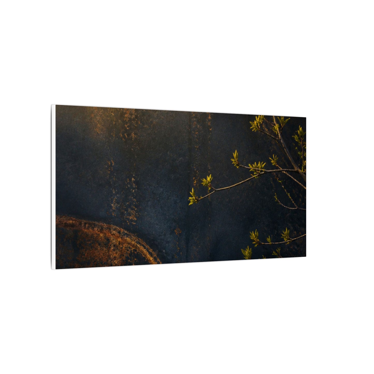 Spring Rust Patina Dark Texture Canvas Art | Moody Decor