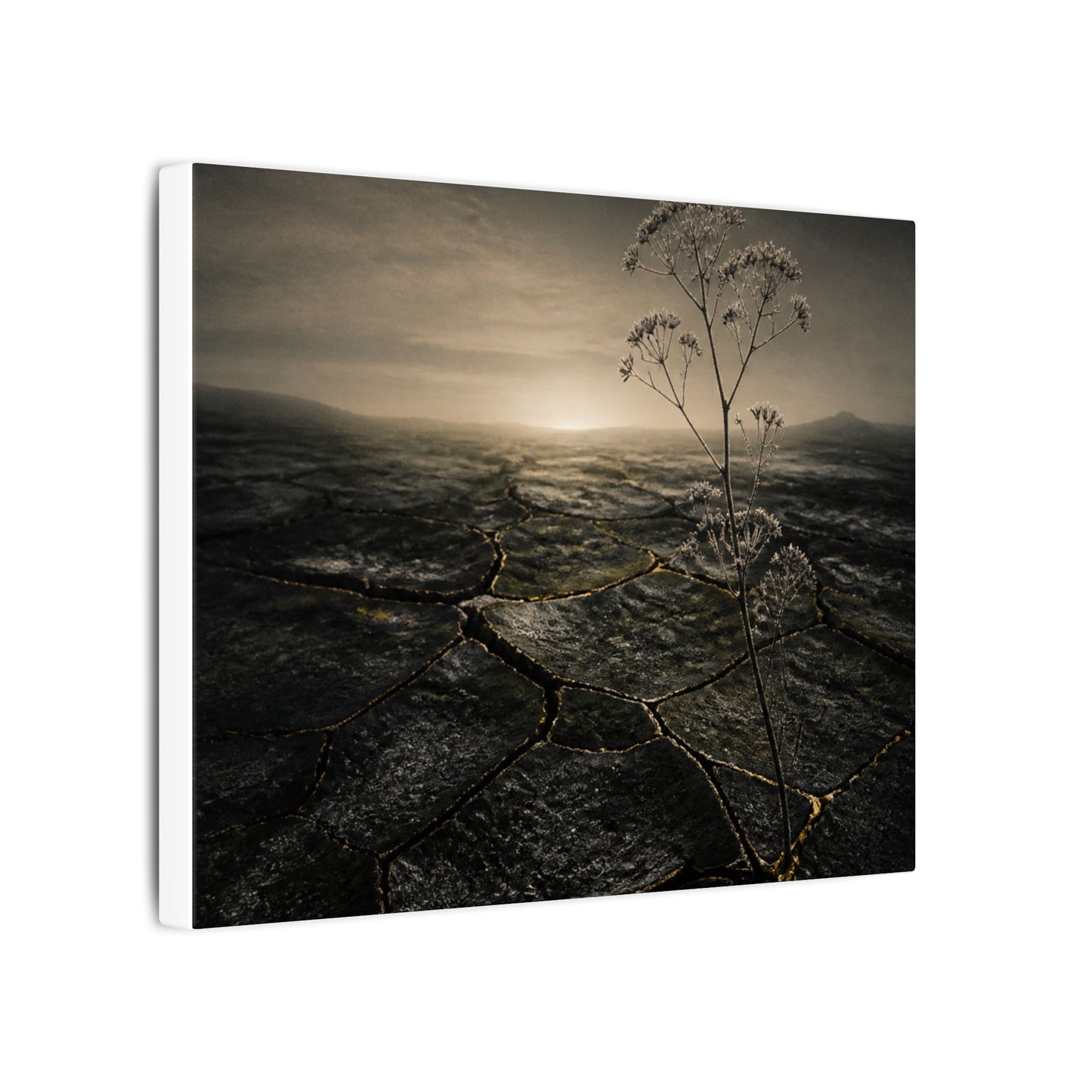 Dawn Cracked Earth Canvas Art - Dark Japandi Mono No Aware
