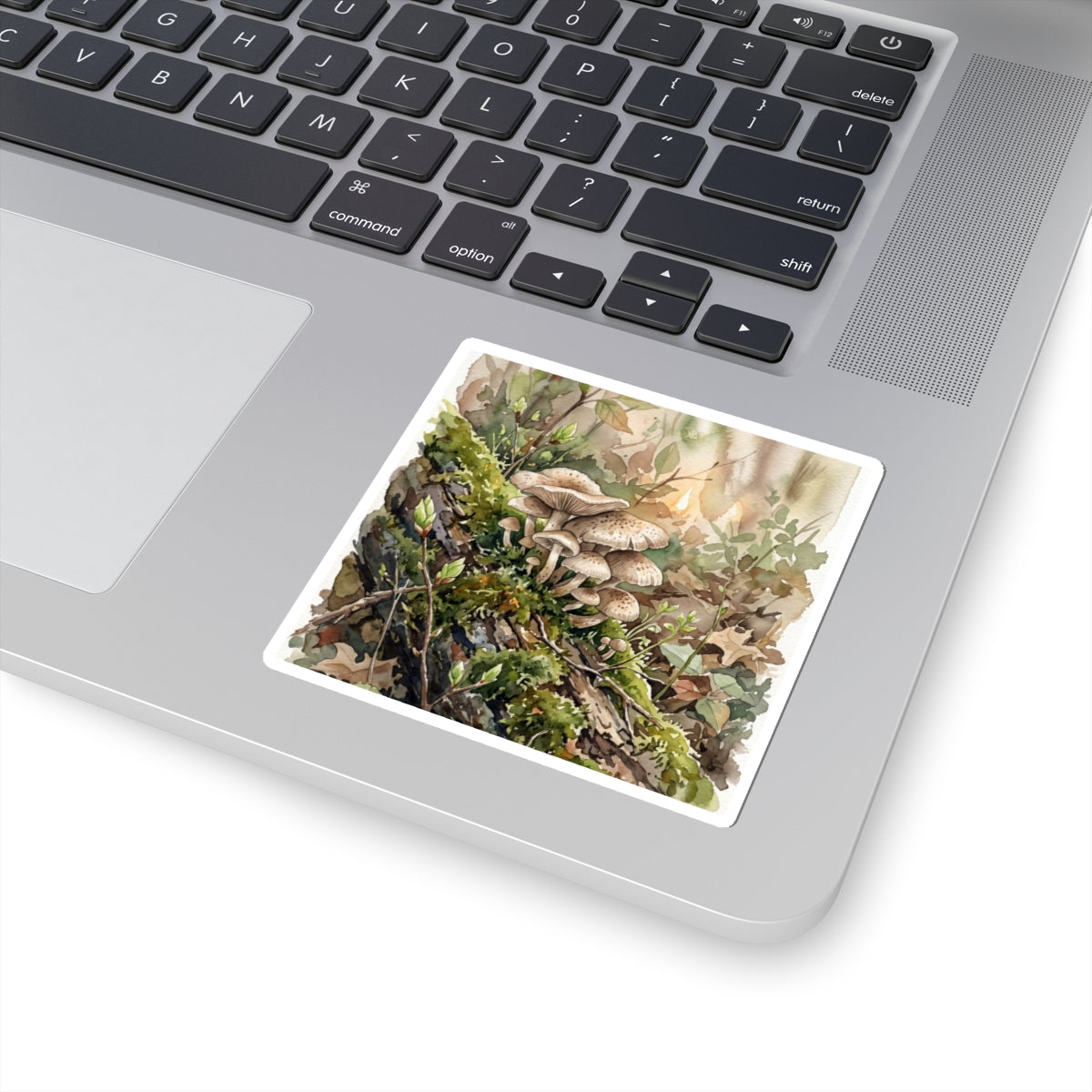 Fukinsei Wild Mushrooms Sticker - Japandi Watercolor