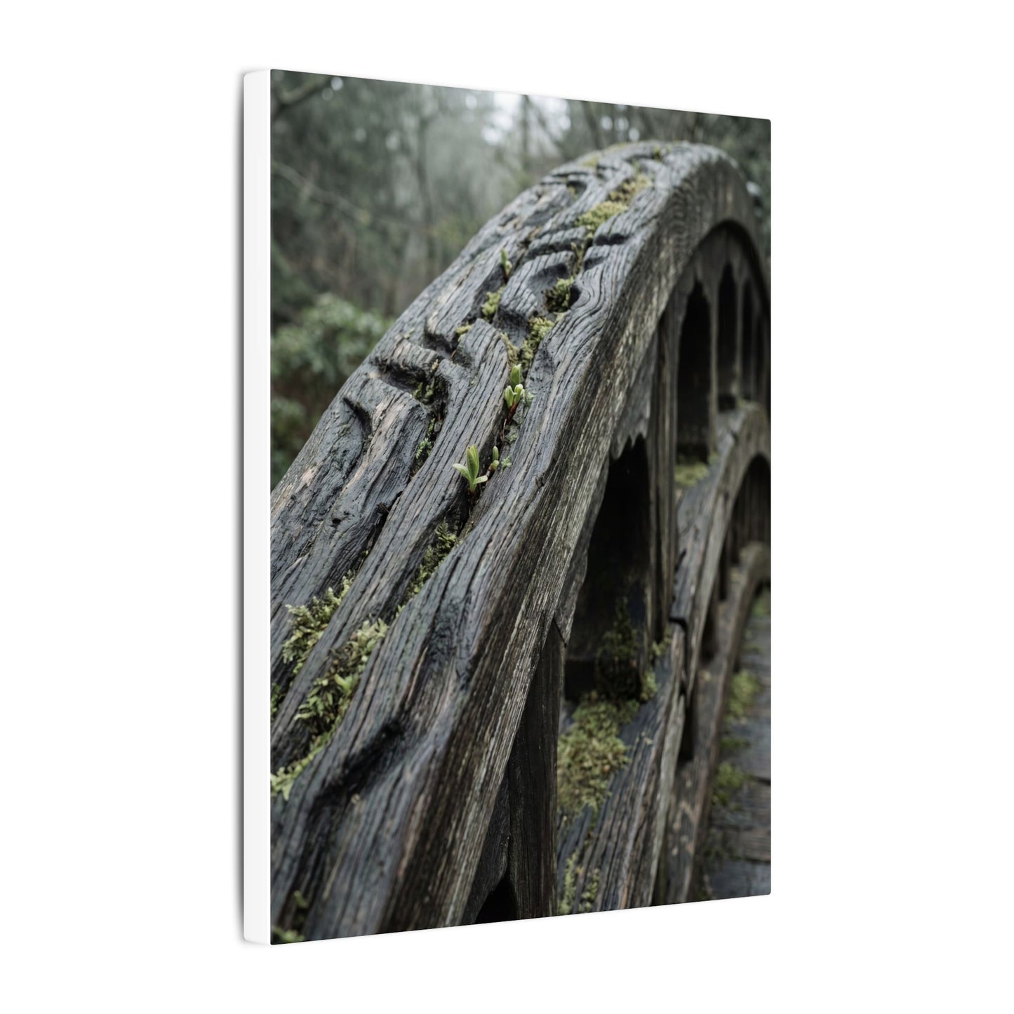 Overcast Wooden Bridge Canvas Art - Japandi Kanso