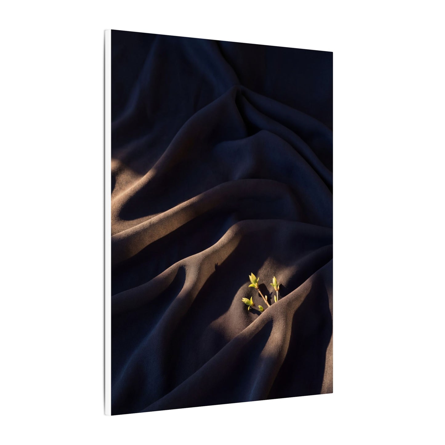 Silk Drape Shadow Zen Canvas Art | Luxurious Dark Japandi Art