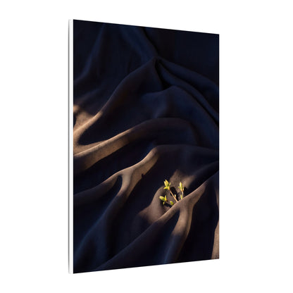 Silk Drape Shadow Zen Canvas Art | Luxurious Dark Japandi Art