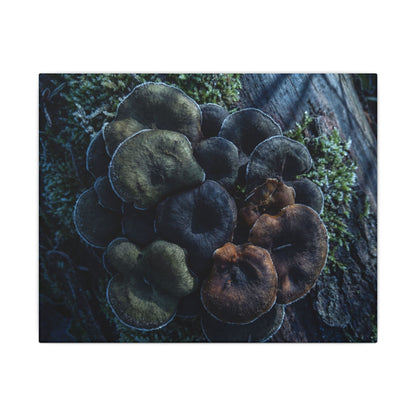 Wild Mushrooms Moody Minimal Canvas Art | Moody Dark Japandi Art