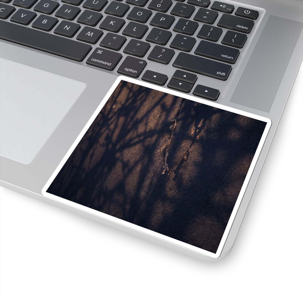 Winter Shadow Play Moody Minimal Sticker | Atmospheric Decor