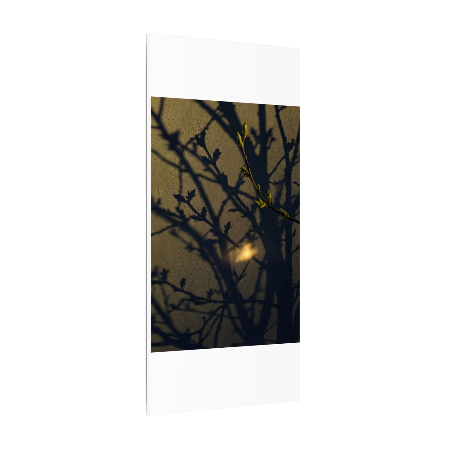 Bold Shadow Play Canvas Art - Moody Minimal Dark Japandi