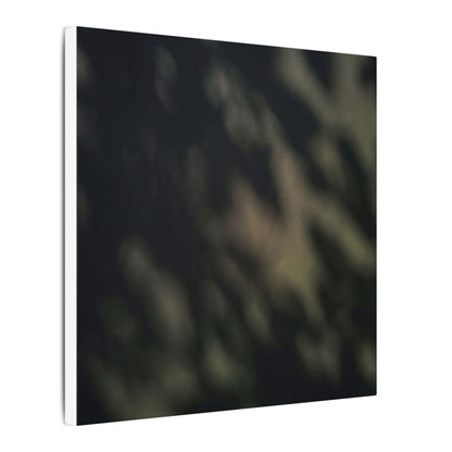 Dappled Shadow Play Canvas Art - Dark Japandi Ma