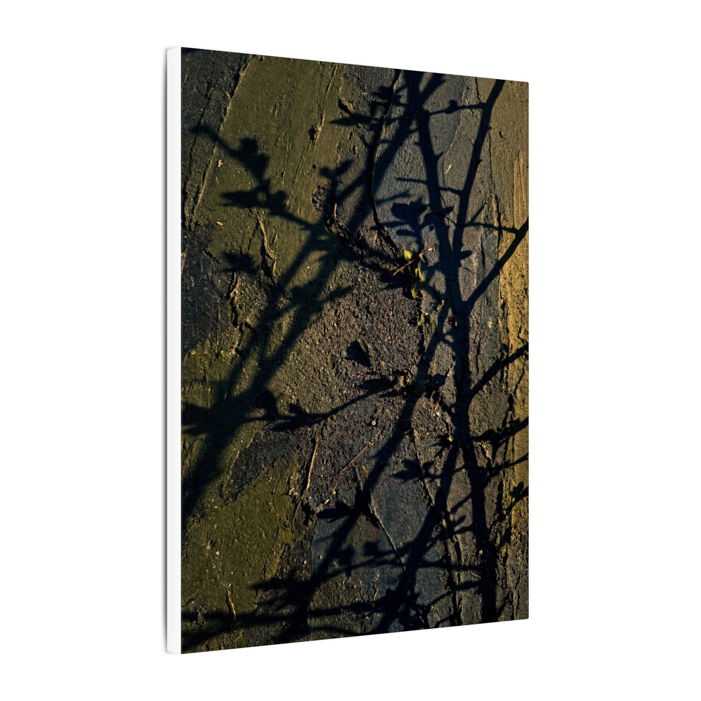 Kanso Shadow Play Canvas Art - Dark Japandi Dark Texture