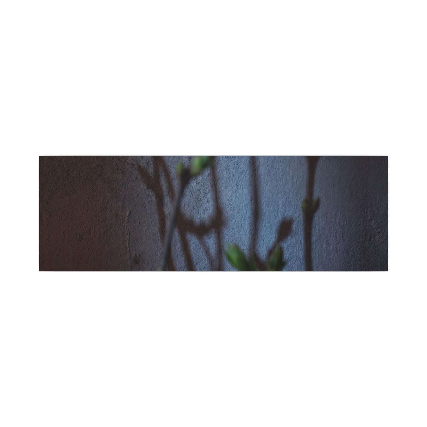 Shadow Play Spring Canvas Art | Dark Japandi Sophisticated Design