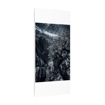 Dark Japandi Pine Tree in Dappled | Dark Texture Canvas Art