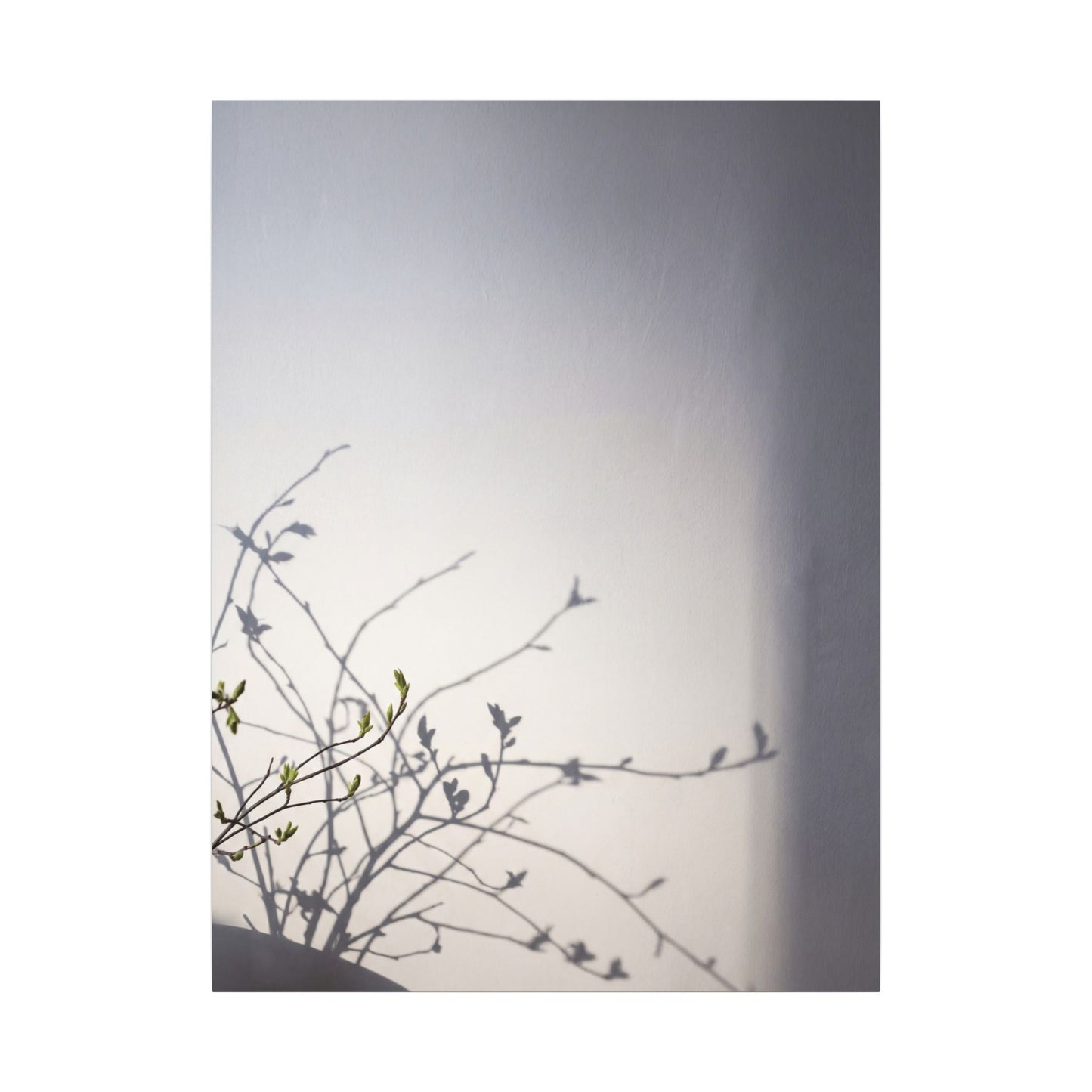 Japandi Shadow Play in Dawn | Japanese Pattern Canvas Art