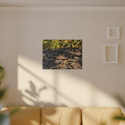 Shibui Cracked Earth Canvas Art - Kintsugi Gold Repair