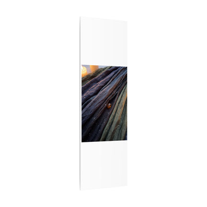 Silk Drape Shadow Zen Canvas Art | Moody Dark Japandi Art