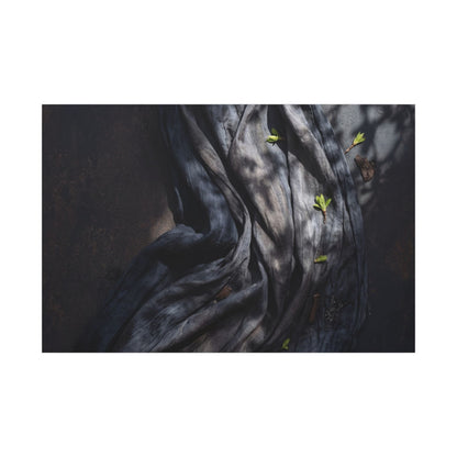 Seijaku Silk Drape Canvas Art - Dark Japandi Dark Texture