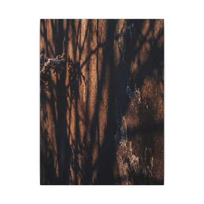 Golden Hour Shadow Play Canvas Art - Dark Japandi Fukinsei