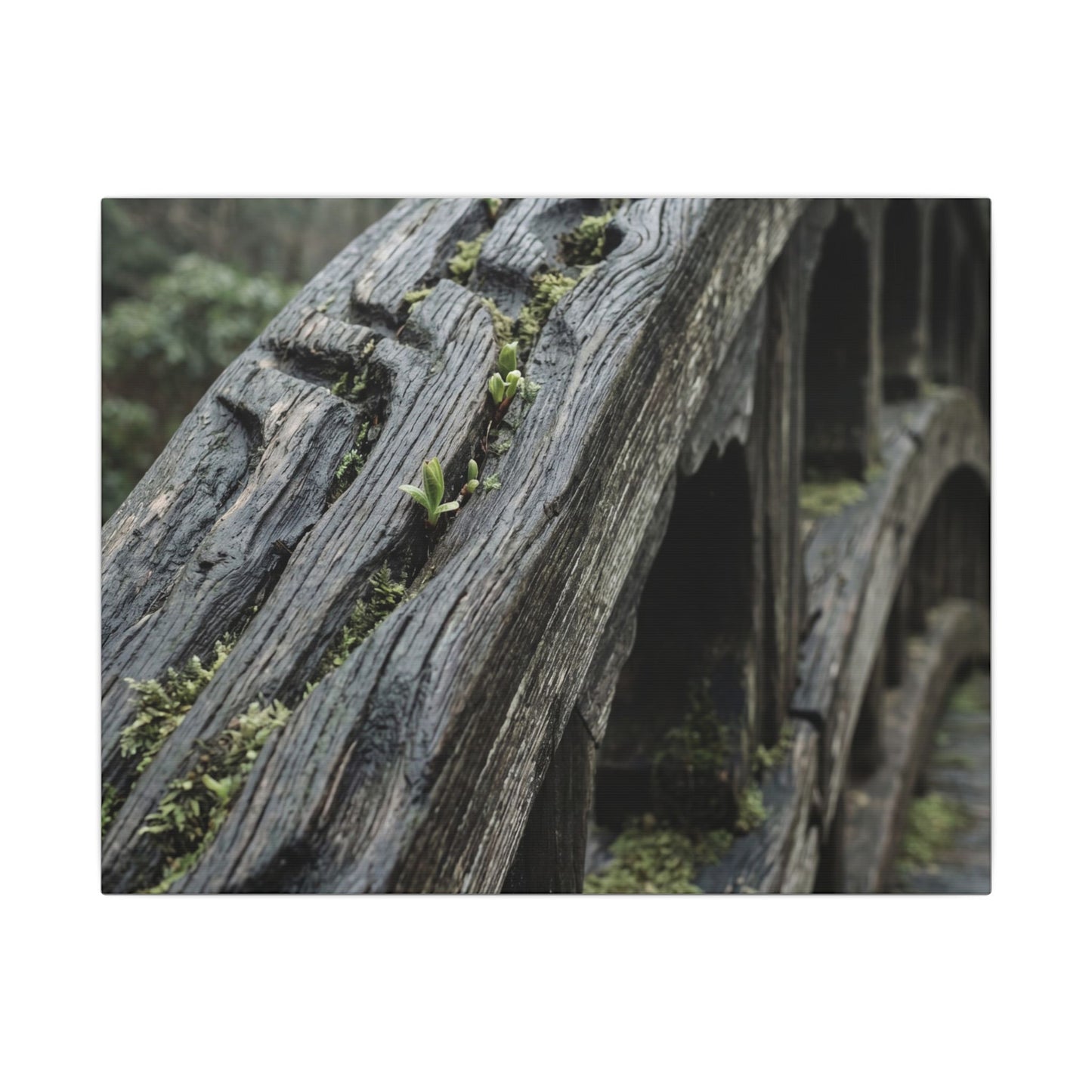 Overcast Wooden Bridge Canvas Art - Japandi Kanso Art Print