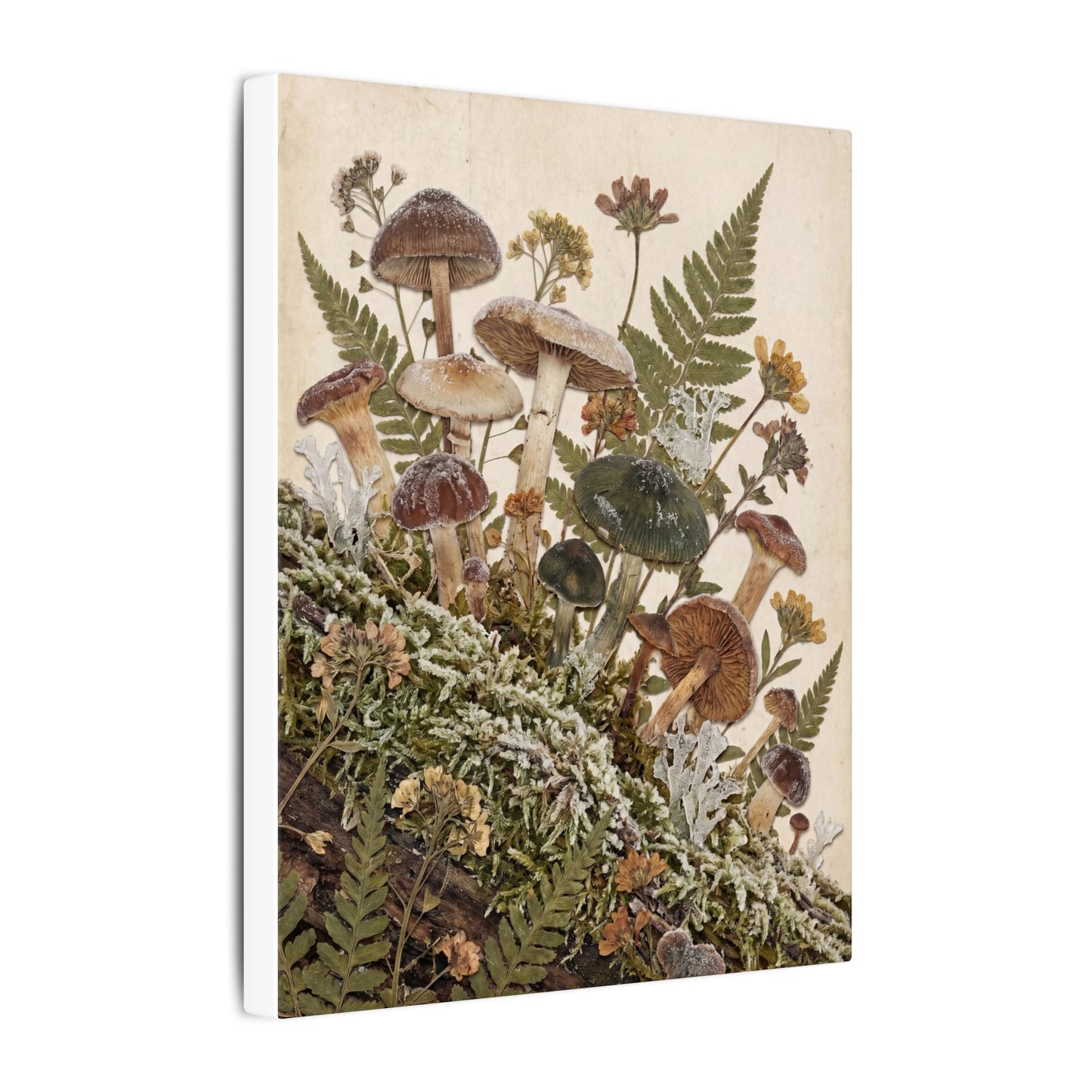 Winter Wild Mushrooms Herbarium Canvas Art | Enchanting Decor