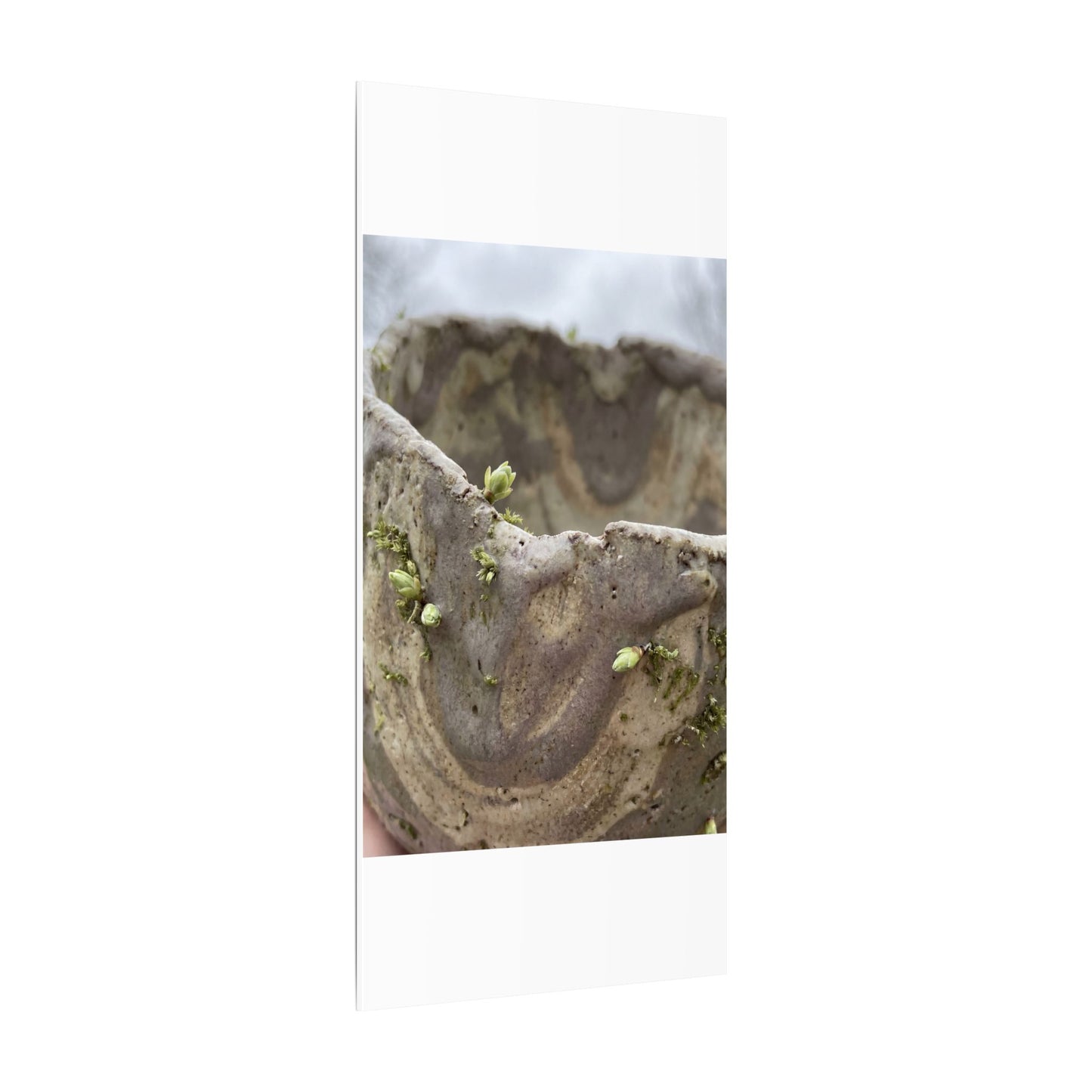Overcast Ceramic Bowl Canvas Art - Japandi Fukinsei