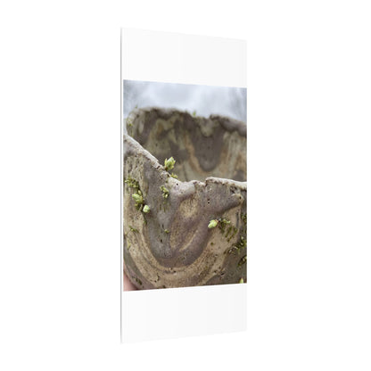 Overcast Ceramic Bowl Canvas Art - Japandi Fukinsei