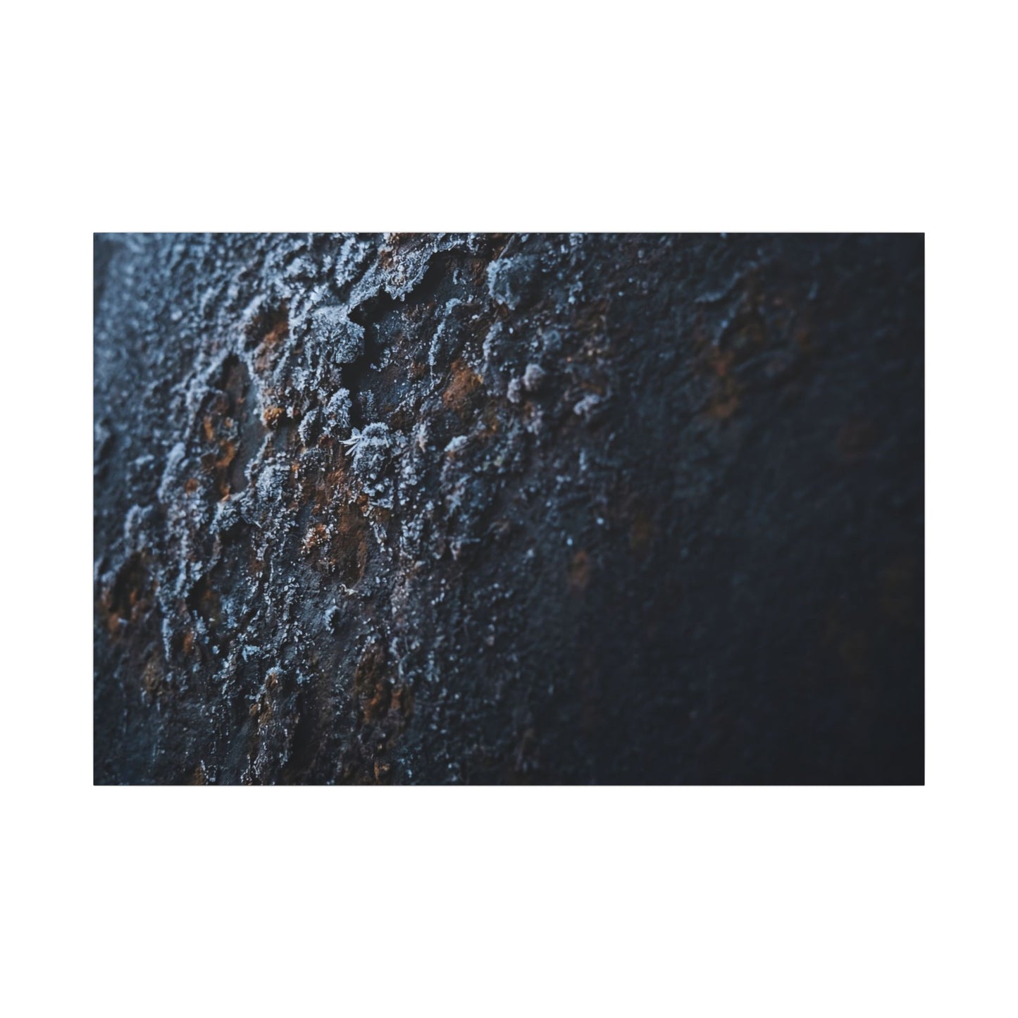 Rust Patina Canvas Art | Winter Dark Japandi Shadow Zen Art Art Print
