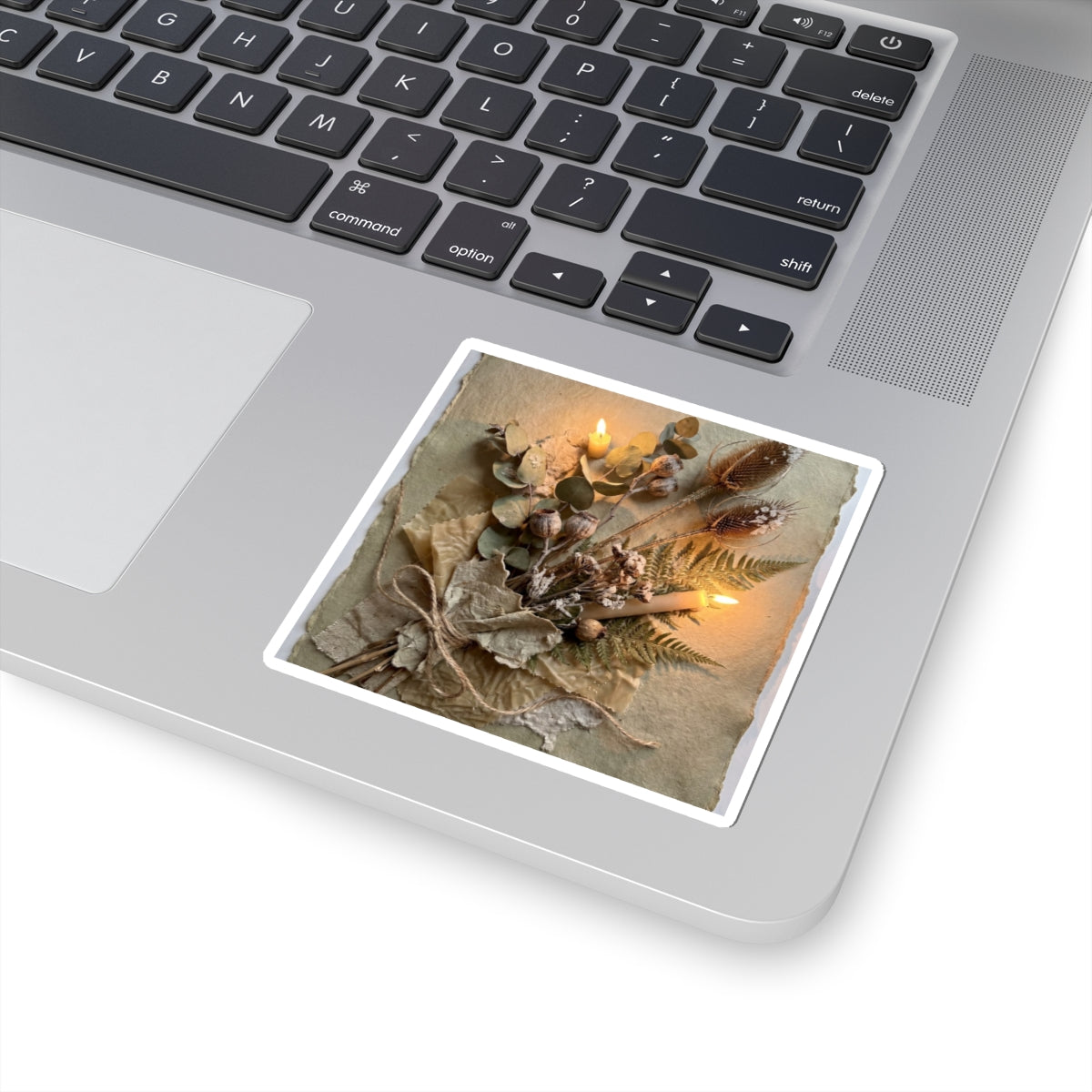 Dried Flowers Winter Sticker | Japandi Earthy Design