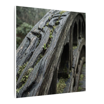 Overcast Wooden Bridge Canvas Art - Japandi Kanso