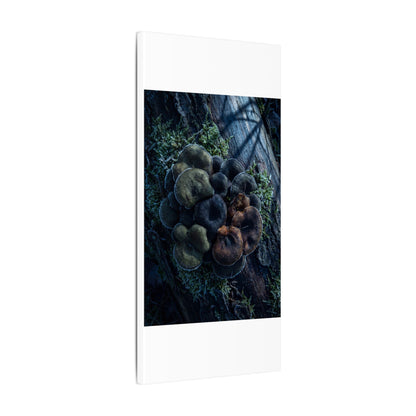 Wild Mushrooms Moody Minimal Canvas Art | Moody Dark Japandi Art