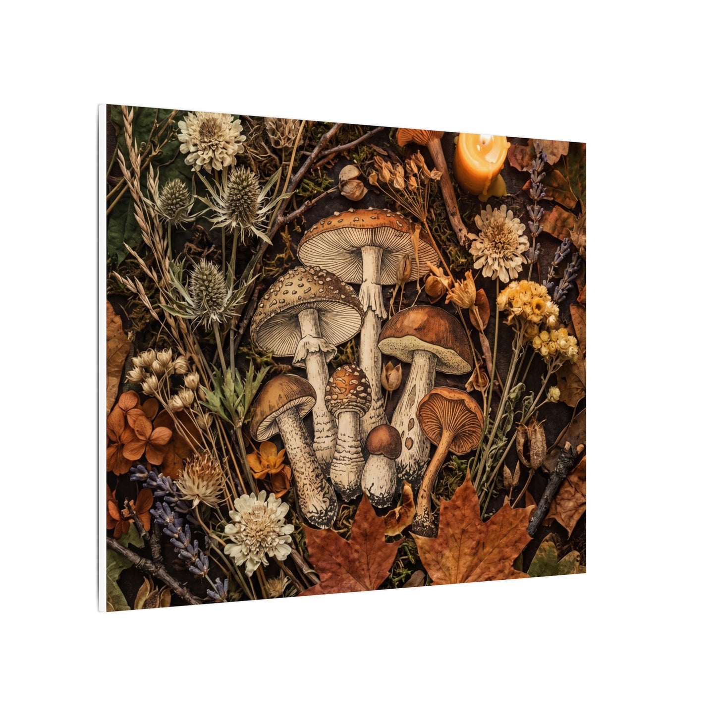Autumn Dried Flowers Mushroom Illustration Canvas Art | Earthy Decor