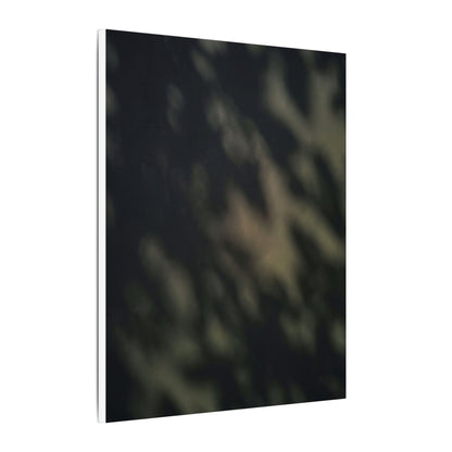 Dappled Shadow Play Canvas Art - Dark Japandi Ma