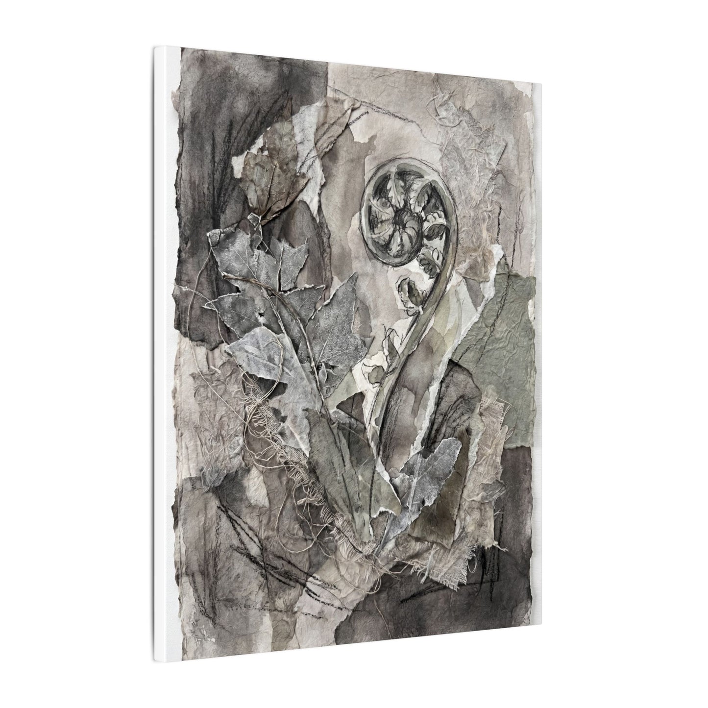 Japandi Fern Unfurling in Overcast | Texture Canvas Art