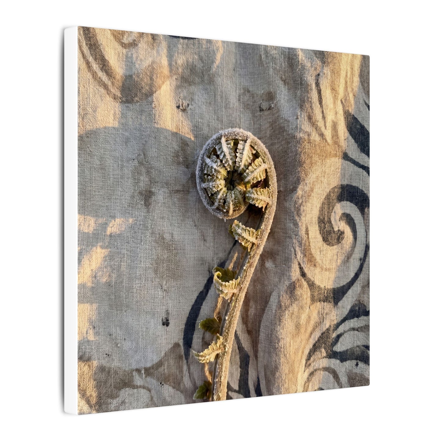 Fern Unfurling Canvas Art | Winter Japandi Japanese Pattern Art