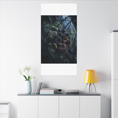 Wild Mushrooms Moody Minimal Canvas Art | Moody Dark Japandi Art