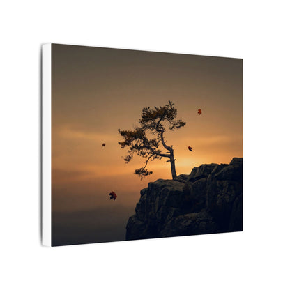 Dark Japandi Pine Tree in Golden Hour | Moody Minimal Canvas Art