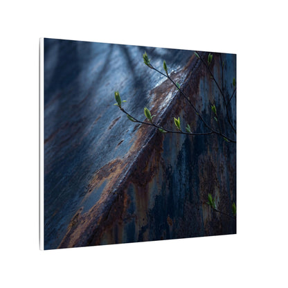 Rust Patina Canvas Art | Spring Dark Japandi Shadow Zen Art