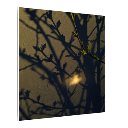 Bold Shadow Play Canvas Art - Moody Minimal Dark Japandi