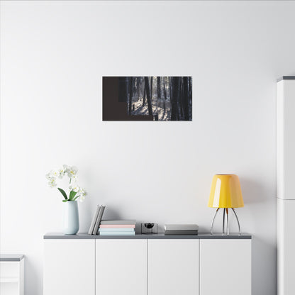 Bamboo Grove Canvas Art | Winter Dark Japandi Moody Minimal Art