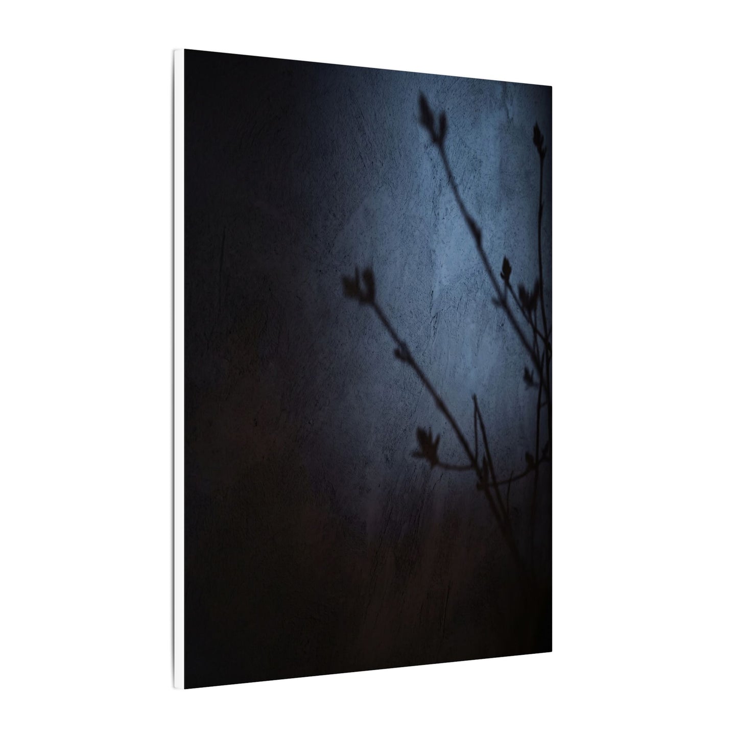Shadow Play Canvas Art | Spring Dark Japandi Moody Minimal Art