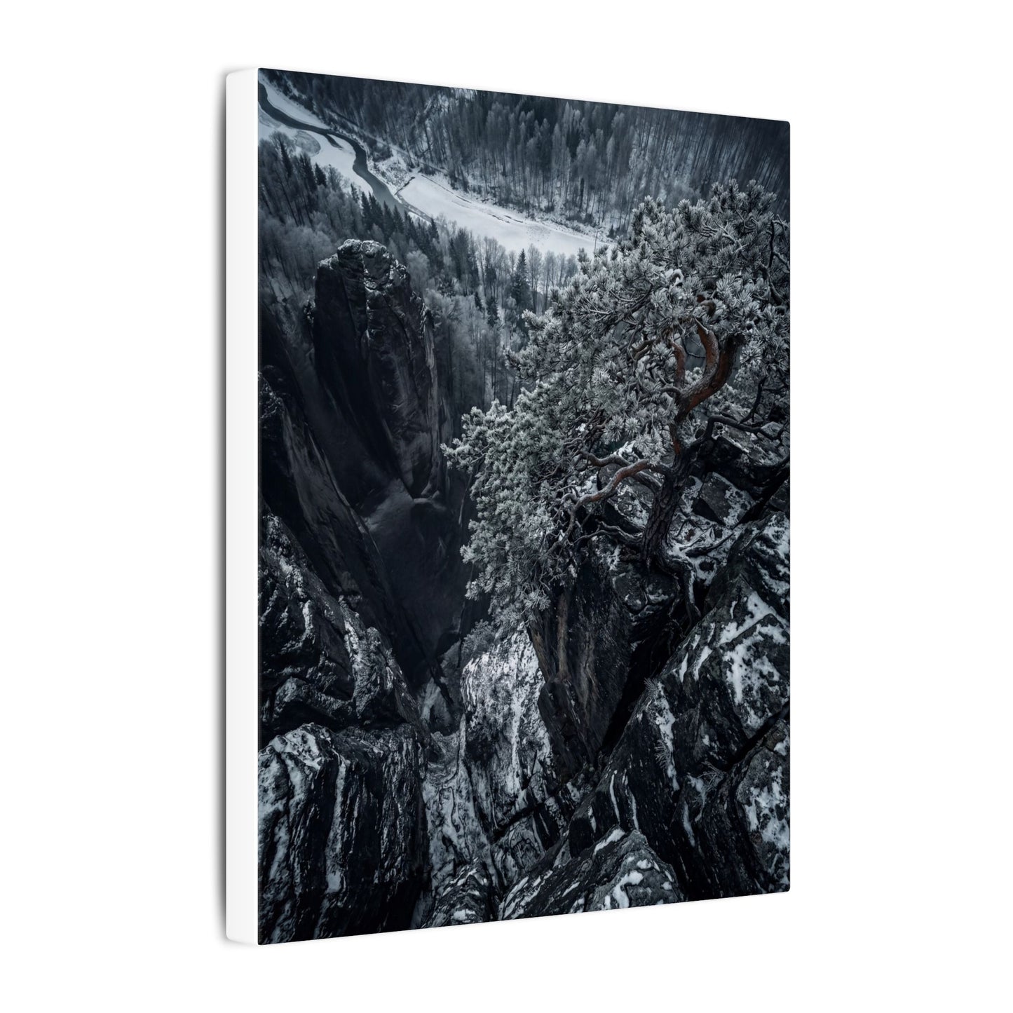 Dark Japandi Pine Tree in Dappled | Dark Texture Canvas Art