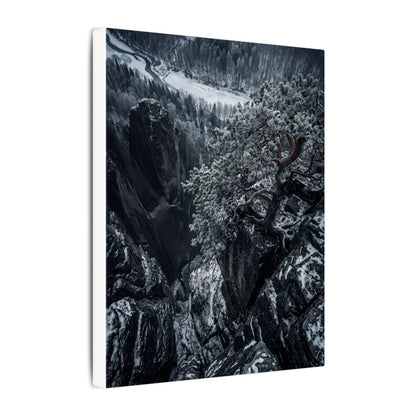 Dark Japandi Pine Tree in Dappled | Dark Texture Canvas Art
