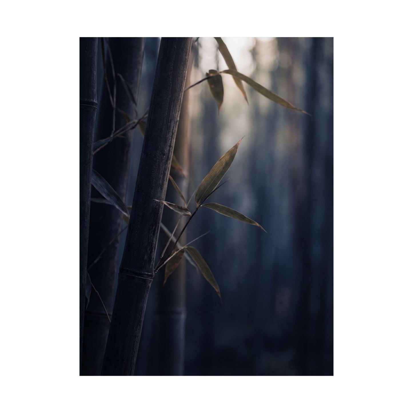 Dark Japandi Bamboo Grove in Dawn | Moody Minimal Wall Art Print