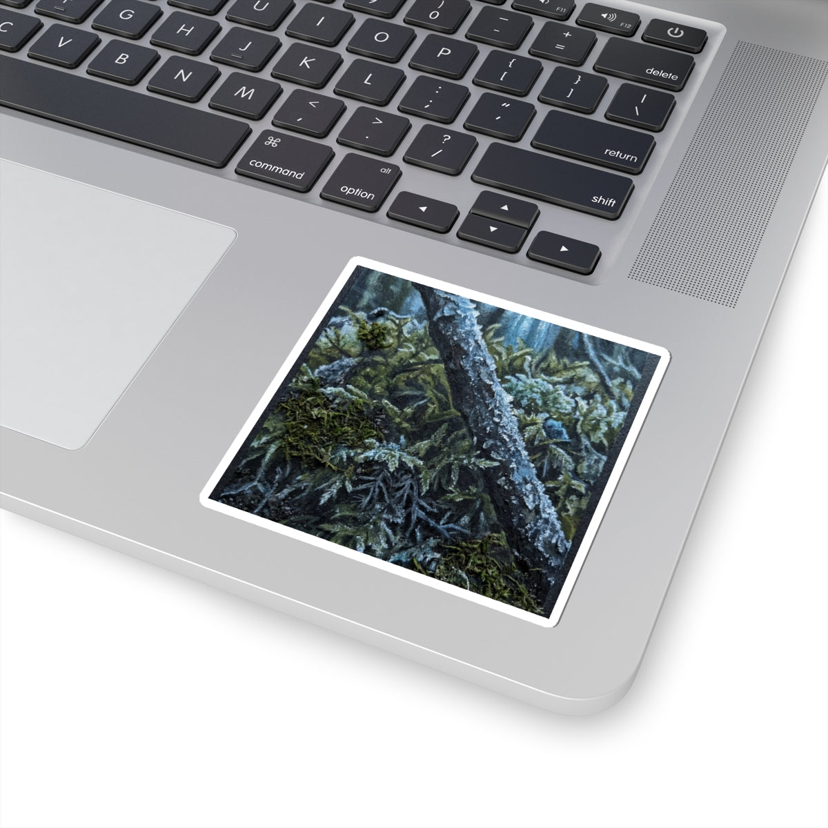 Moss Close Up Dark Texture Sticker | Luxurious Dark Japandi Art